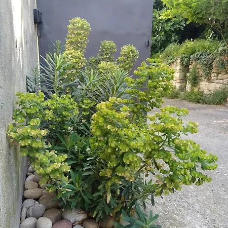 Maison La Petite Cour - 维桑