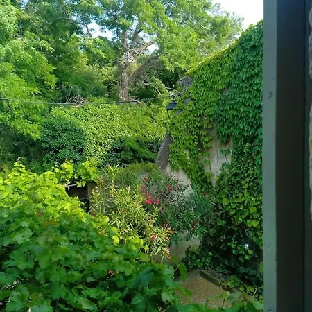 Maison La Petite Cour - 维桑