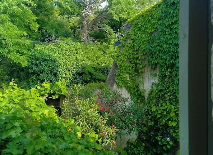 Maison La Petite Cour - Visan